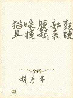 猫咪腹部鼓鼓的且摸起来硬硬的