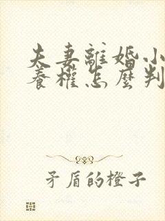 夫妻离婚小孩抚养权怎么判抚养费怎么出封面