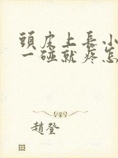 头皮上长小疙瘩一碰就疼怎么回事