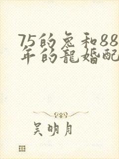 75的兔和88年的龙婚配