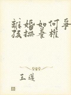 离婚如何争夺小孩抚养权封面