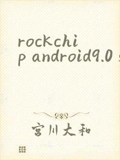 rockchip android9.0 sdk release