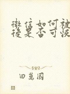 微信如何被拉黑后是否可恢复