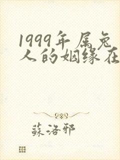 1999年属兔人的姻缘在哪年