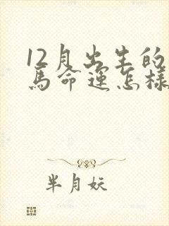 12月出生的属马命运怎样