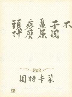 头疼鼻子不通气什么原因