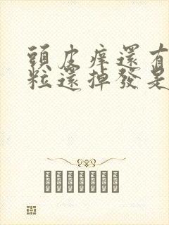 头皮痒还有小颗粒还掉发是怎么回事