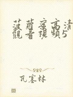 菠萝蜜高清在线观看视频5