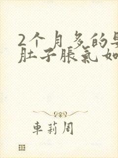 2个月多的婴儿肚子胀气如何快速消除