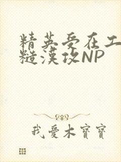 精英受在工地被糙汉攻NP