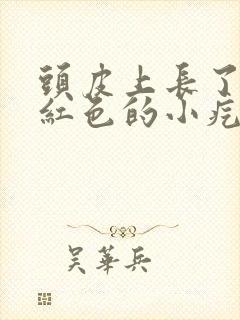 头皮上长了好多红色的小疙瘩