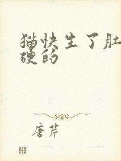 猫快生了肚子硬硬的