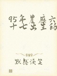 95年农历六月十七出生的命运