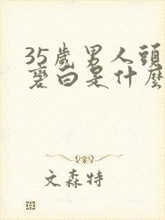 35岁男人头发变白是什么原因