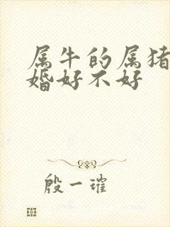 属牛的属猪的结婚好不好