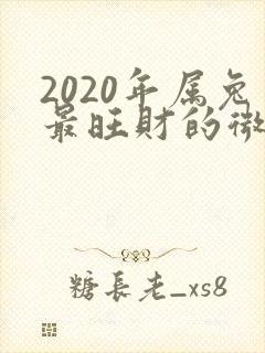 2020年属兔最旺财的微信头像