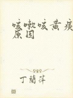 咳嗽咳黄痰什么原因