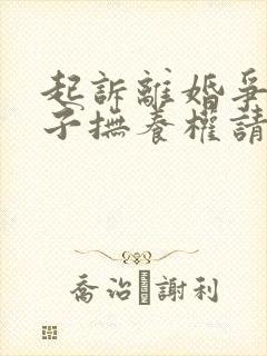 起诉离婚争取孩子抚养权请律师费用多少钱封面