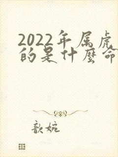 2022年属虎的是什么命五行属什么封面