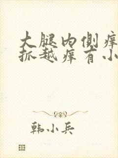 大腿内侧痒痒越抓越痒有小红疙瘩用什么药