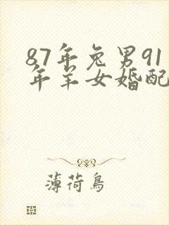 87年兔男91年羊女婚配封面