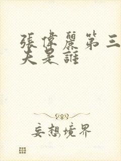 张伟丽第三任丈夫是谁