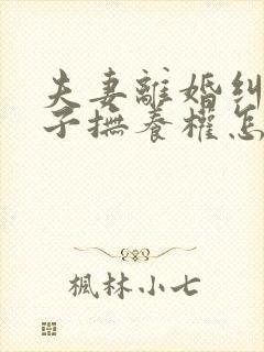 夫妻离婚纠纷孩子抚养权怎么判定