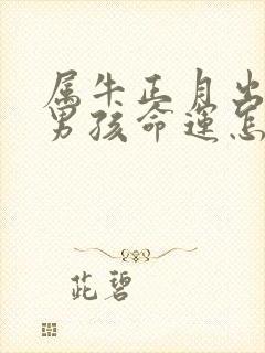 属牛正月出生的男孩命运怎么样