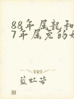 88年属龙和87年属兔的姻缘