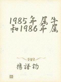 1985年属牛和1986年属虎合婚吗