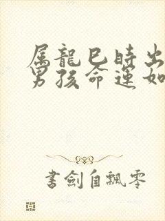 属龙巳时出生的男孩命运如何