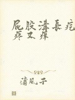 屁股沟长疙瘩又疼又痒