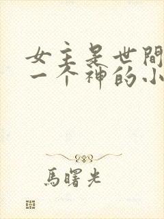 女主是世间最后一个神的小说