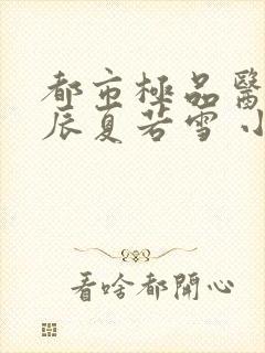 都市极品医神叶辰夏若雪 小说