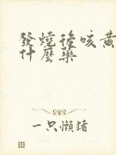 发烧后咳黄痰吃什么药封面