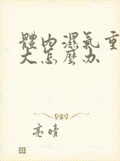 体内湿气重肚子大怎么办