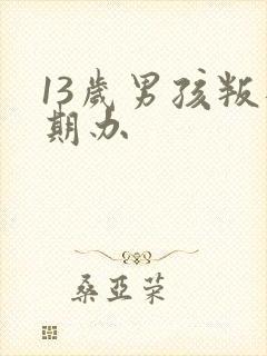 13岁男孩叛逆期办