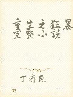 重生之狂暴火法完整小说封面