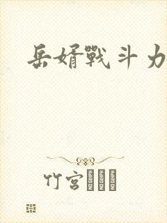 岳婿战斗力封面