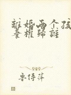 离婚两个孩子抚养权归谁封面