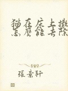 猫在床上撒尿,怎么能去除猫尿味