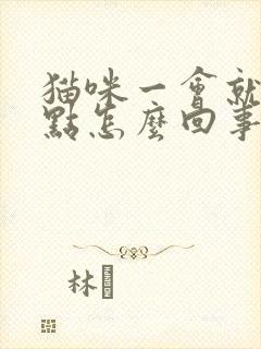 猫咪一会就尿一点怎么回事