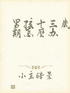 男孩十三岁叛逆期怎么办