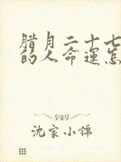 腊月二十七出生的人命运怎么样封面