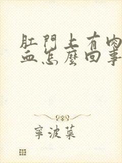 肛门上有肉球出血怎么回事