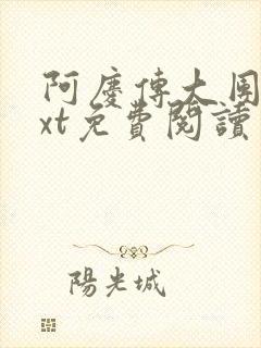 阿庆传大团结txt免费阅读封面