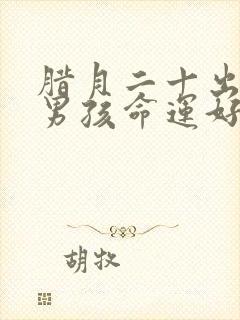 腊月二十出生的男孩命运好吗