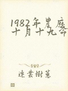 1982年农历十月十九命运