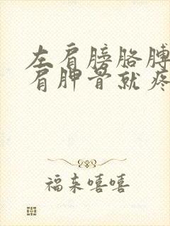 左肩膀胳膊一抬肩胛骨就疼