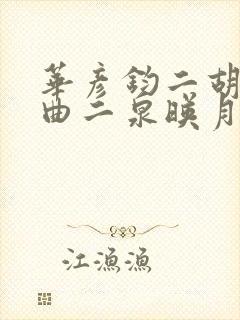 华彦钧二胡独奏曲二泉映月